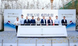 福日电子代工最新爆料,揭秘行业动态与技术创新