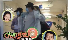 杨幂郑恺最新爆料新闻