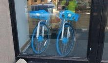 长春自行车爆料最新消息,揭秘城市绿色出行新动态