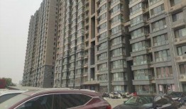 开源嘉苑爆料事件视频最新,揭秘背后真相与争议